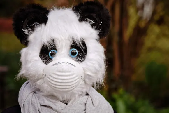 BetOriginal Casino Suporte